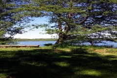 img-20180514-wa0006jpeg