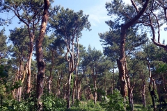 p1030337