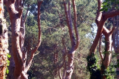 p1030338