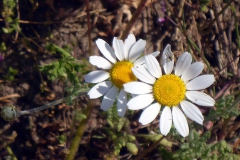 p1030349