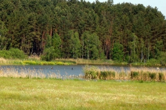 p1030353