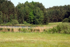 p1030354