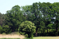 p1030355