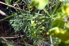p1030358