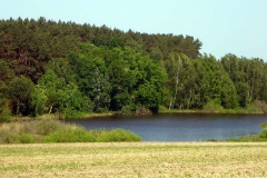 p1030360