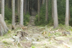 dscn4154