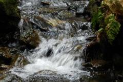 dscn4209