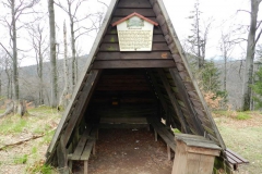dscn4221
