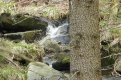 dscn4233