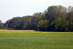 p1030260