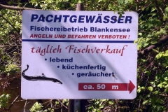 p1030270