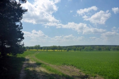 p1030275