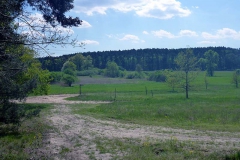 p1030284