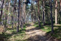 p1030285