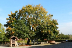 dscn3523