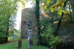 dscn3526