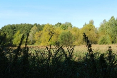 dscn3527