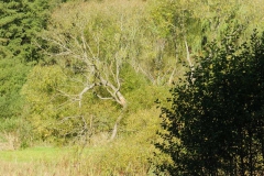 dscn3531