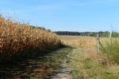 dscn3534