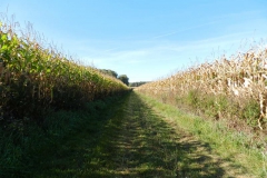 dscn3535