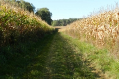 dscn3536