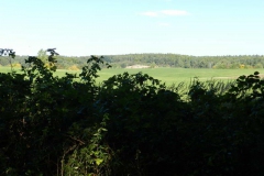 dscn3538