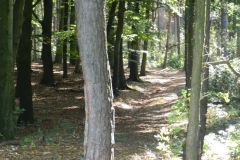 dscn3541
