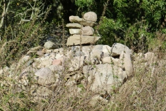dscn3548