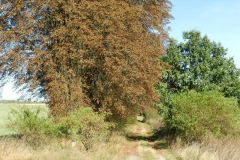 dscn3549