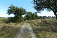 dscn3560