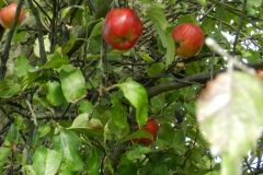 dscn3561