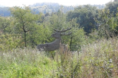 dscn3562