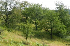 dscn3563