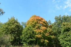 dscn3568