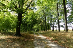 dscn3569