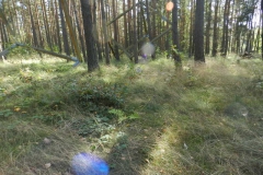 dscn3570