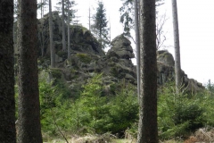 dscn4272
