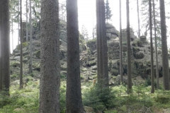 dscn4275