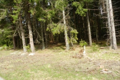 dscn4278