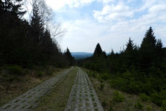dscn4298