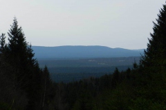 dscn4299
