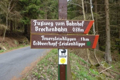 p1000670_copy