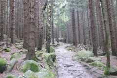 p1000673_copy