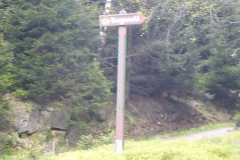 p1000677_copy