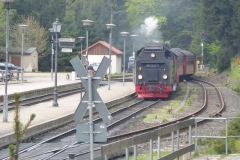 p1000679_copy