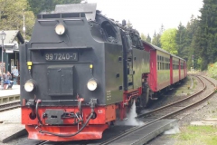 p1000681_copy