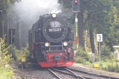 p1000684_copy