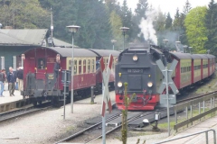 p1000686_copy
