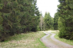 p1000692_copy
