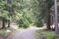 p1000693_copy